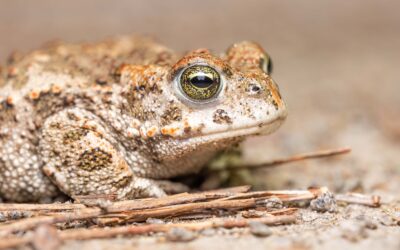 Concours photo « la richesse de la biodiversité »